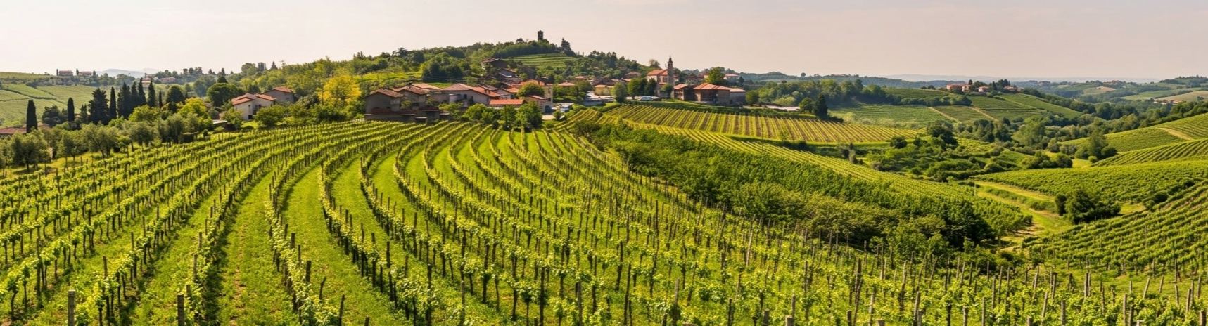 Slovenia Wine Tour Itinerary
